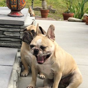 Meet your Posher, Kacper